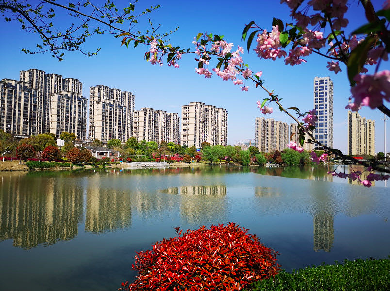 萧山区浦江苑未来社区